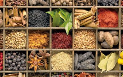 Glosario de Especias Exóticas