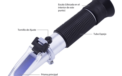 ¿Que son los Grados Brix?