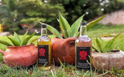 Cocuy, Genuinamente Venezolano